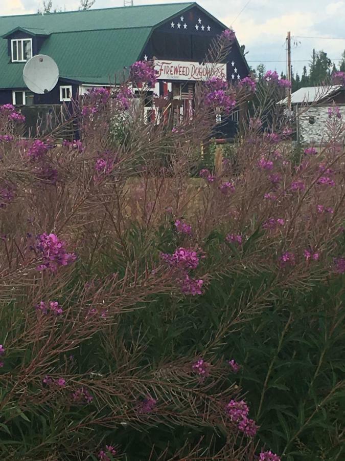 ネナナ Fireweed Roadhouseヴィラ エクステリア 写真